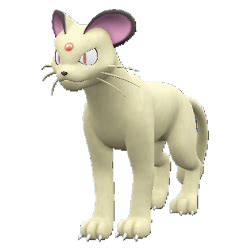 persian serebii|persian hidden ability.